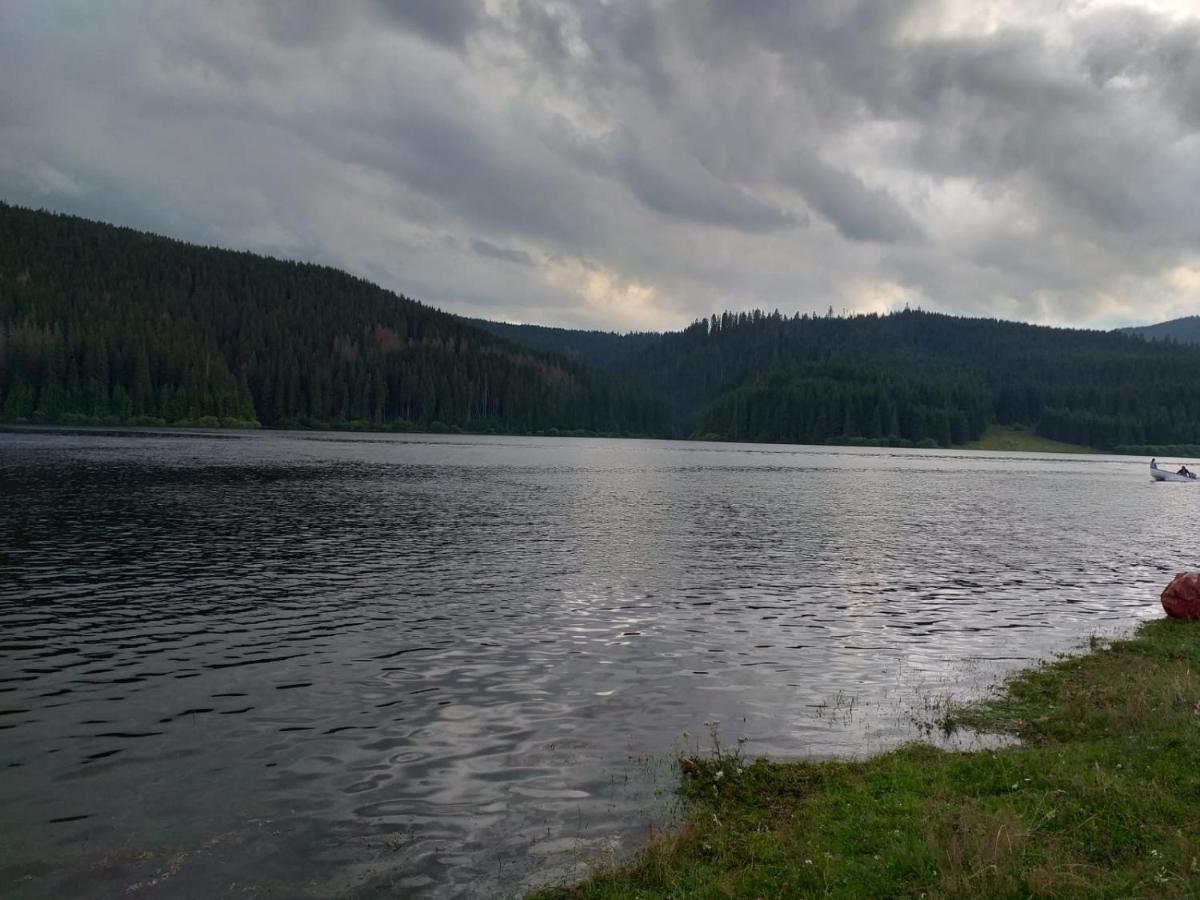 Pensiunea Floare De Colt Beliş Exteriér fotografie