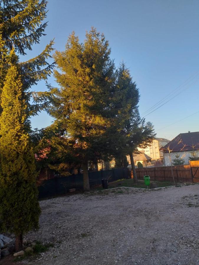 Pensiunea Floare De Colt Beliş Exteriér fotografie